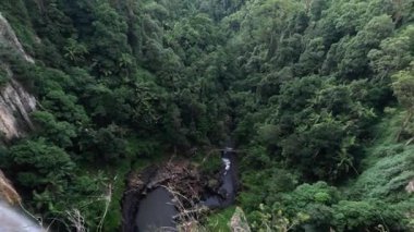 Yeşil, yemyeşil bir kanyon manzarası.