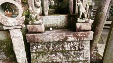 Serene, yosun kaplı bir Japon mezarlığından geçiyor.