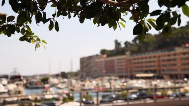 Önplanda ağaç yaprakları olan bulanık liman sahnesi