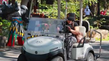 Manzaralı alanda golf arabası süren biri.