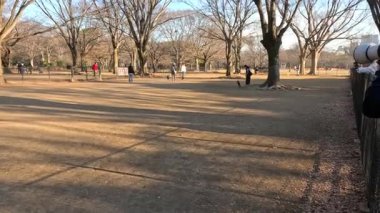 Köpek parkta koşar, insanlar rahatlar ve izlerler.