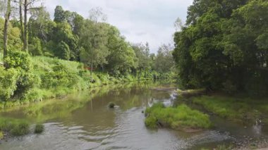 Bereketli yemyeşil nehir manzarası