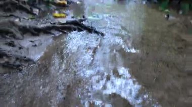 Su yemyeşil orman manzarasının ortasında akıyor.