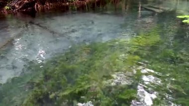 Serin yeşil kanalları keşfediyorlar.