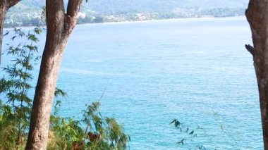 Sakin bir okyanus manzarası. Tropikal ağaçlar tarafından çerçevelenmiş. Gün ışığında sakin ve huzurlu bir atmosferle çekilmiş.