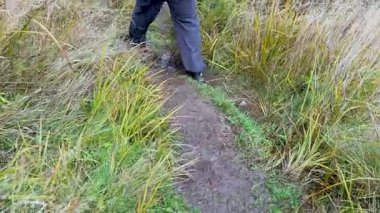 Bir yürüyüşçü Queenstown, Yeni Zelanda 'da dar, çimenli bir patikada yol alır. Bulutlu aydınlatma yemyeşil ve sakin atmosferi güçlendirir.