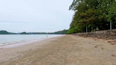 Tayland, Krabi 'de sakin plajda yalnız yürüyen biri.
