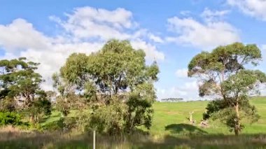 Avustralya 'da yemyeşil manzaralar ve açık gökyüzü