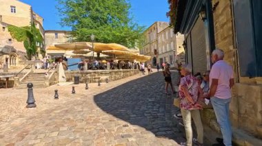 Bir mısır yılanının (Pantherophis guttatus) nazik hareketini ve karmaşık desenini yakalayan sakin bir yakın çekim video çerçevesi (). 