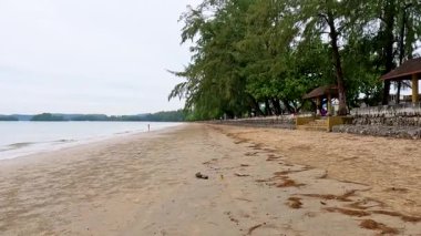 Tayland, Krabi 'de yemyeşil yemyeşil sakin bir sahil.