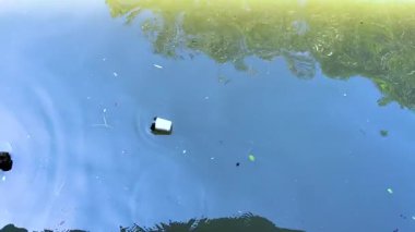 Enkaz, Bangkok 'taki Khlong Lat Mayom Yüzen Pazarı' nın sakin ortamını yansıtan sakin bir kanal boyunca sürükleniyor.