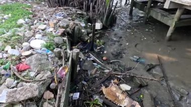 Gönüllüler tıkanmış bir dereden çöpleri temizliyor