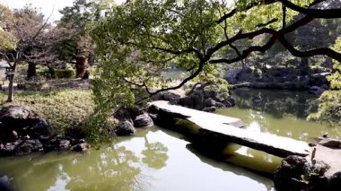 Sakin bir bahçe göleti sahnesinin zaman atlaması