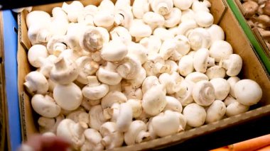 Bir el, parlak ışık altında süpermarketten beyaz düğmeli mantar seçer. Sahne Gold Coast, Avustralya.