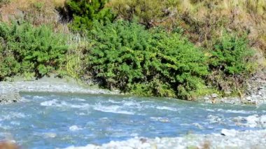 Parlak gün ışığında sakin bir nehir canlı yeşilliklerin içinden akar. Sahne, doğanın sükunetini ve güzelliğini yakalar.