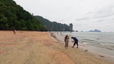 İnsanlar manzaralı bir plajda yürüyor.