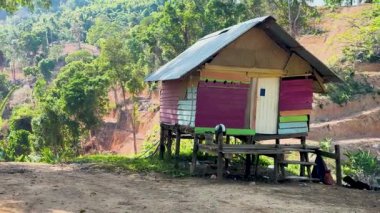 Phuket, Tayland 'da yemyeşil bir yerde canlı bir kulübe. Parlak gün ışığı rengarenk yapıyı ve sakin çevreyi güçlendirir.