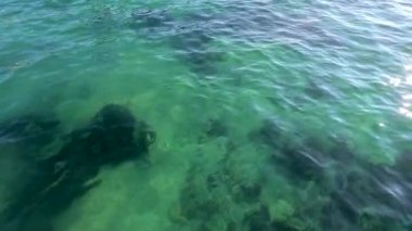 Drone görüntüleri Mornington Yarımadası 'nın sakin ve berrak sularını yakalar ve parlak güneş ışığı altında sualtı oluşumlarını ortaya çıkarır.