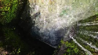 Yosunlu kayaların üzerinden çağlayan şelale