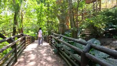 Bir kadın yemyeşil bir orman yolunda yürüyor.