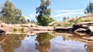 Su altı görüntüsü yüzey manzarasına geçiş yapıyor