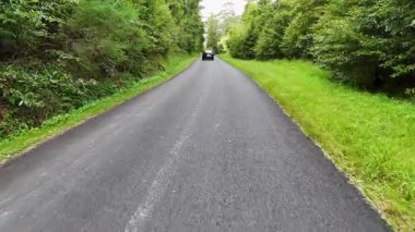 Bir araba Bellingen, NSW 'de sakin, ağaçlarla kaplı bir yol boyunca yol alır, parlak gün ışığında, yemyeşil ve sükunet sergiler.
