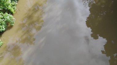 İnsansız hava aracı yemyeşil ve akan nehri yakalıyor