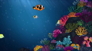 Renkli balıklar canlı mercan resiflerinde yüzerler.