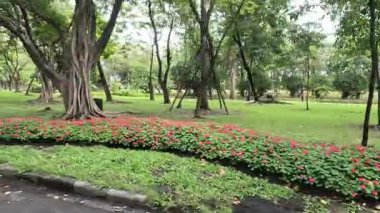 Çiçekleri değişen huzurlu bir parkın hızlandırılması.