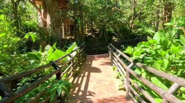 Khao Kheow Açık Hayvanat Bahçesi, Chonburi, Tayland 'da güneşli bir havalimanında canlı yeşilliklerle çevrili sakin bir yürüyüş.