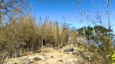 Lopburi 'nin doğal manzarasının panoramik görüntüsü