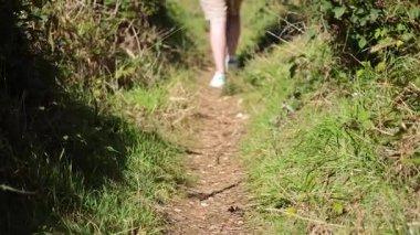 Çimenli bir bahçe yolunda yürüyen kişi