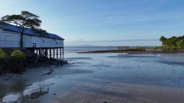 Drone, Avustralya 'nın Port Douglas kentindeki berrak gökyüzü altında bir rıhtım, mangrovlar ve sakin sularla sakin kıyı manzarası yakalar.