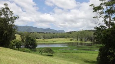 Bereketli yeşillik ve dingin su vücutları doğada