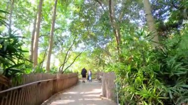 İnsanlar bereketli, manzaralı bir yolda yürüyor.