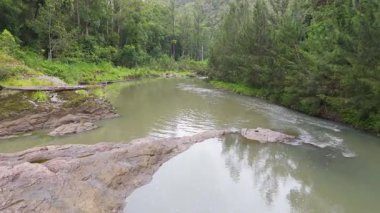 Bereketli ormandaki derenin havadan görünüşü