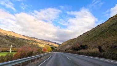 Wanaka 'nın canlı sonbahar manzarasında 20 saniyelik sürüş, renkli yeşillikler, açık gökyüzü ve dolambaçlı yollar.
