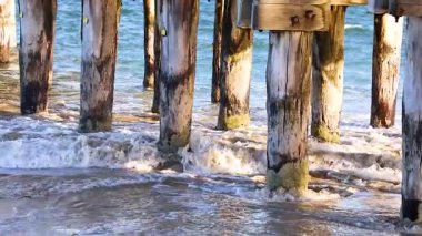 Dalgalar, Bellarine, Victoria, Avustralya 'daki bir köprünün altındaki aşınmış ahşap sütunlara hafifçe çarpar. Güneş ışığı sakin kıyı sahnesini vurgular