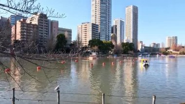 Kayakçılar bir nehirde kürek çekerler.