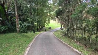 Dolambaçlı bir parkta huzurlu bir yürüyüş