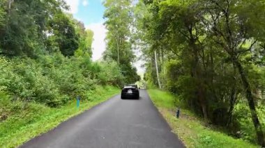 Bir araba Bellingen, NSW 'de ağaçlarla kaplı sakin bir yolda ilerliyor. Parlak gün ışığı yemyeşil ve dolambaçlı yolu aydınlatır.