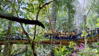 Çocuklar hayvanat bahçesinde doğayı keşfediyorlar.