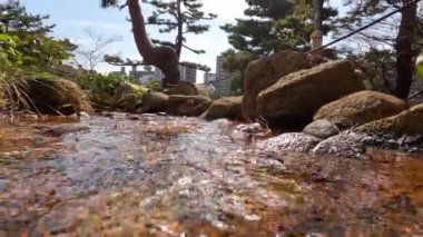 Sakin bir ortamda kayaların üzerinden akan su.