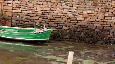 Fife Limanı 'nda teknelerin üzerinde uçan martılar.