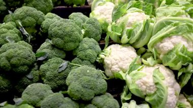 Parlak süpermarket ışıklarının altında canlı bir brokoli, karnabahar, lahana ve marul gösterisi.