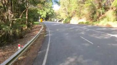 Bereketli orman manzarasında dolambaçlı yol