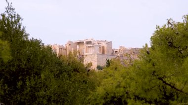 Akropolis, yemyeşil ağaçlarla kısmen gizlenmiş.