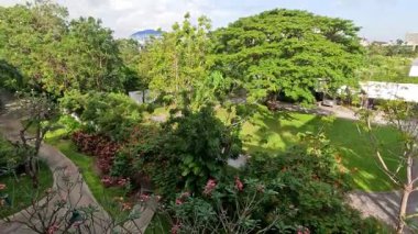 Değişen güneş ışığıyla sakin bir park sahnesi