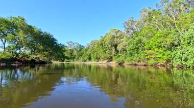 Bereketli nehir manzarasında huzurlu bir tekne yolculuğu.