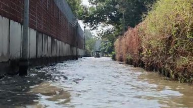 Tayland, Bangkok 'ta dar ve kirli bir kanalda bir tekne geziniyor. Sahne bulanık su, aşırı gelişmiş bitki örtüsü ve kentsel çevreyi yakalıyor.